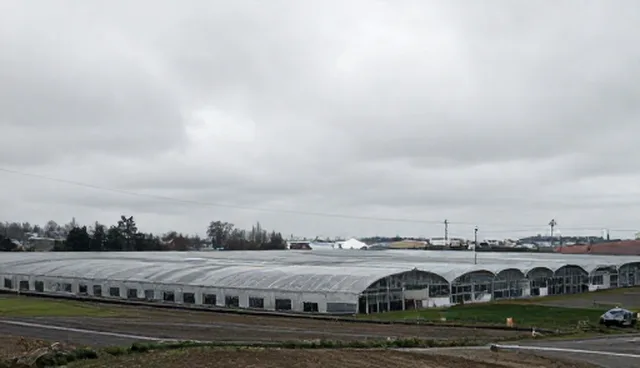 包车服务选型与维护建议提升运输安全
